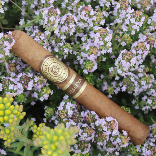 Joya de Nicaragua Rosalones Reserva Corona Gorda 546 Cigar - 1 Single
